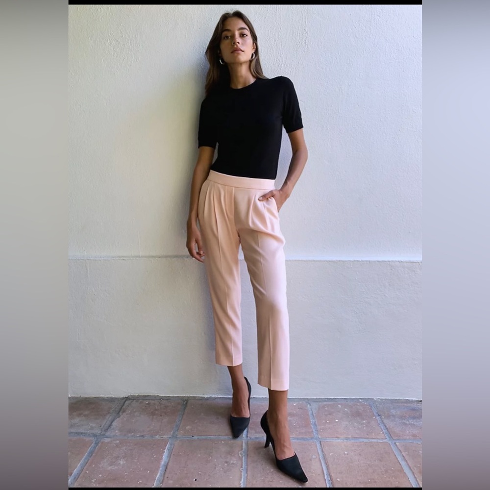 Aritzia Babaton Cohen pants